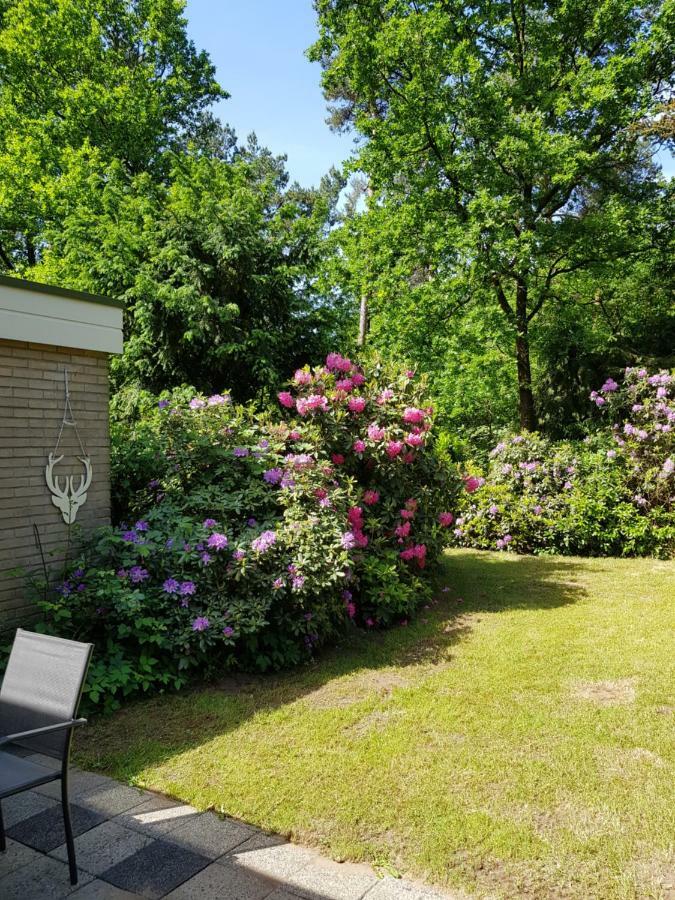 Bungalow Hartje Veluwe Otterlo Eksteriør billede