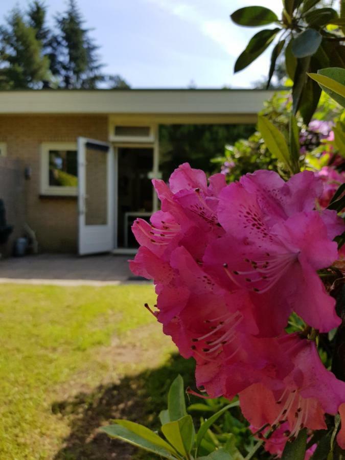Bungalow Hartje Veluwe Otterlo Eksteriør billede